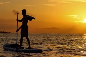 Avventura in paddleboard con i leoni marini sull'isola di San Cristobal