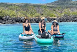 Avventura in paddleboard con i leoni marini sull'isola di San Cristobal