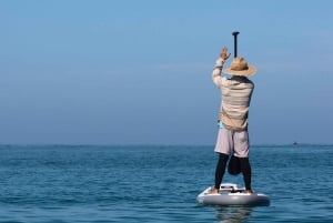 Avventura in paddleboard con i leoni marini sull'isola di San Cristobal