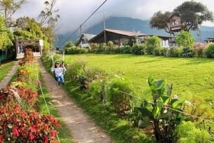 Pailon Del Diablo & Waterfalls Route + Mano de Dios + Tree House Ec.