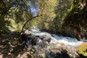 Papallacta: hele dag, hete bronnen in de Andes