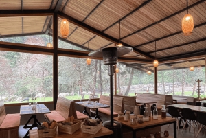 ينابيع المياه الساخنة في بابالاكتا والرحلات في محمية كويوجا مع خدمة النقل