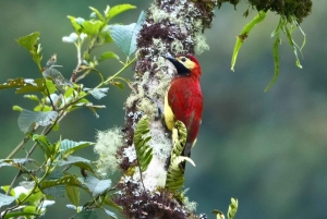 Papallacta Hot springs and hike in Cuyuja Reserve with transfer