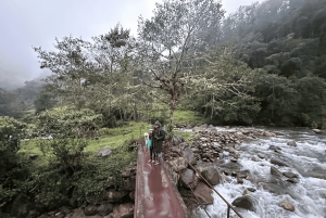 Papallacta Hot springs and hike in Cuyuja Reserve with transfer