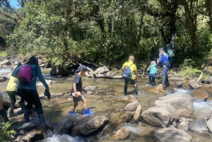 Papallacta Hot springs and hike in Cuyuja Reserve with transfer