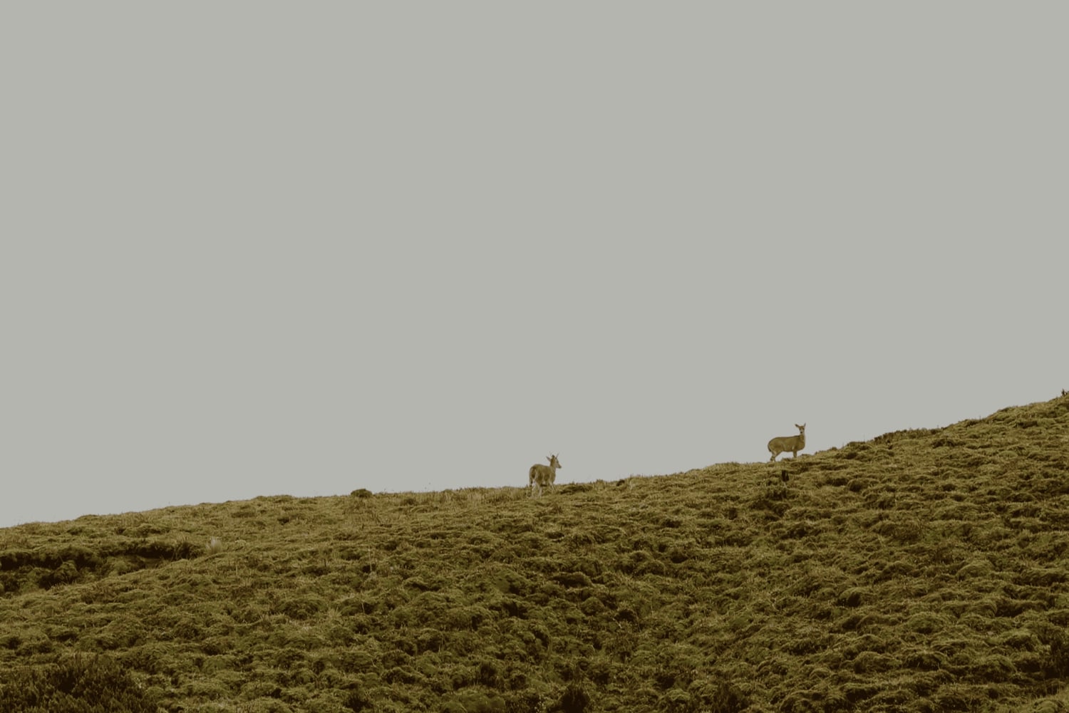 بابالاكتا: مسار المشي لمسافات طويلة على طريق المياه والحياة