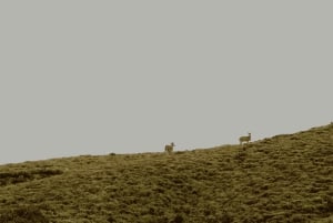 Papallacta: Escursione Ruta del Agua e vita