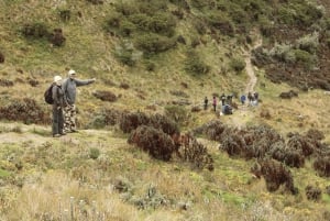 Papallacta: Escursione Ruta del Agua e vita