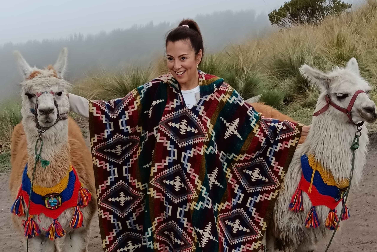 Tour privato del Mondo di Mezzo e della Funivia