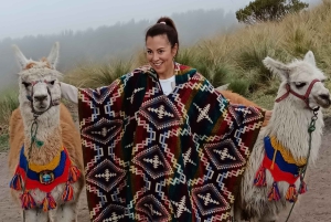 Tour privato del Mondo di Mezzo e della Funivia