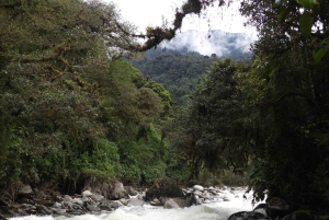 プライベート パパラクタ温泉とグアンゴ雲霧林