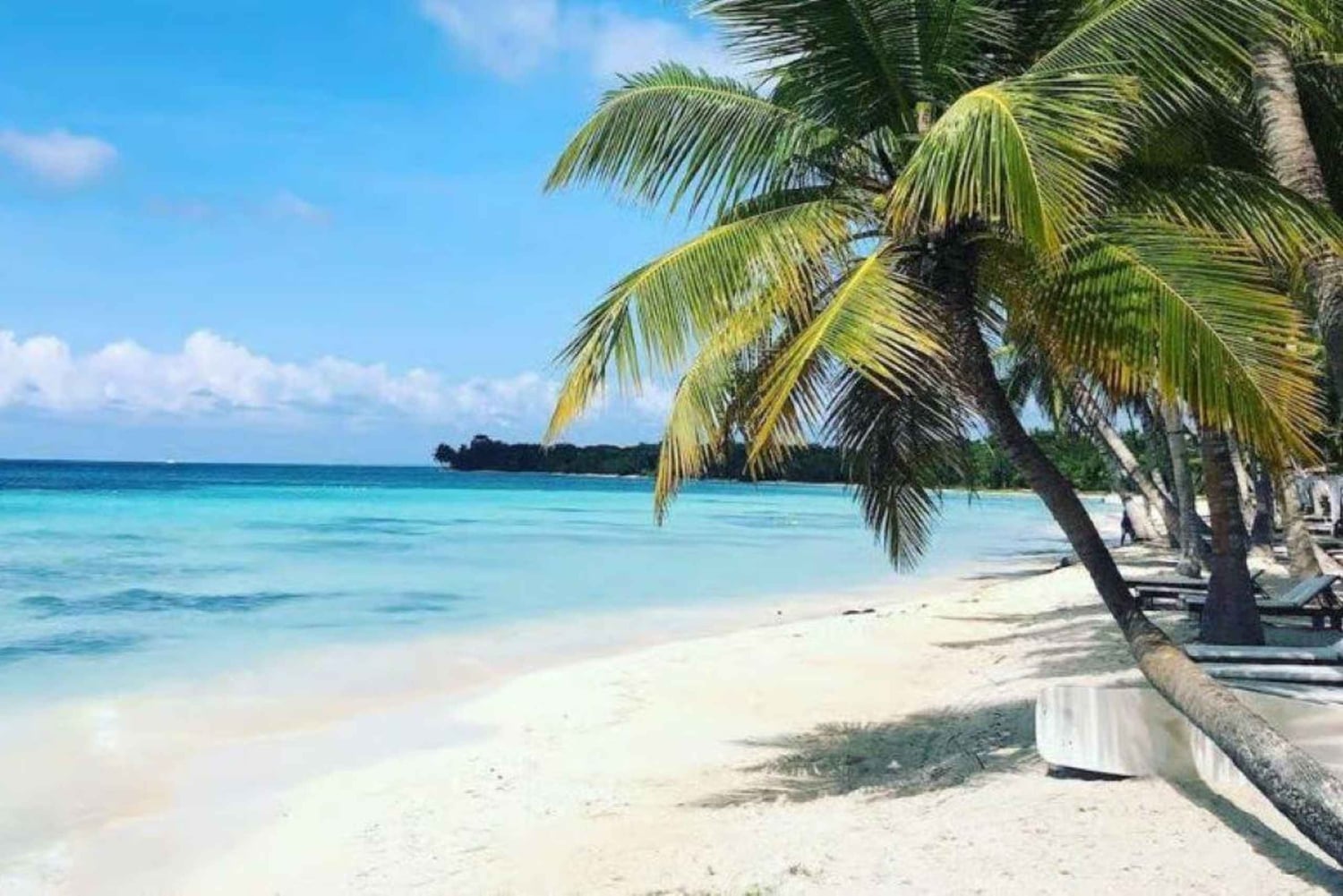 Private Saona Island Catamaran Tour with Lunch