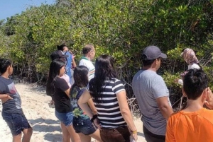 Galápagos: Estación Charles Darwin y Tortuga Bay Tour privado