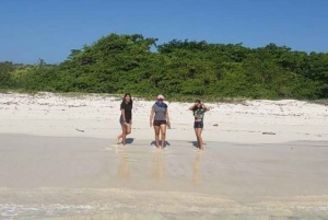 Galápagos: Tour particular pela Estação Charles Darwin e Baía Tortuga