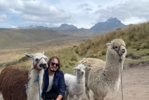 Visite privée, Tour de ville de Quito avec téléphérique et Mitad del Mundo