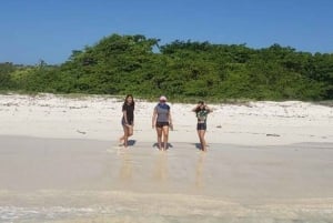 Kæmpeskildpadder, lavatunneller og Tortuga Bay Beach dagstur