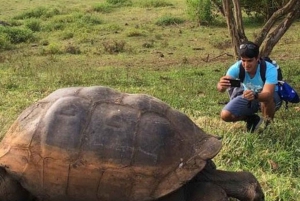 Dagtocht reuzenschildpadden, lavatunnels en strand van Tortuga Bay