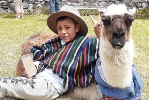 Privat tur til Otavalo og omegn