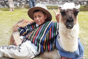 Private Tour to Otavalo & Surroundings