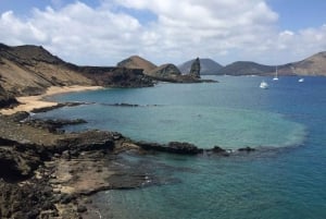 Puerto Ayora: Bartolome Island and Sulivan Bay Day-Trip