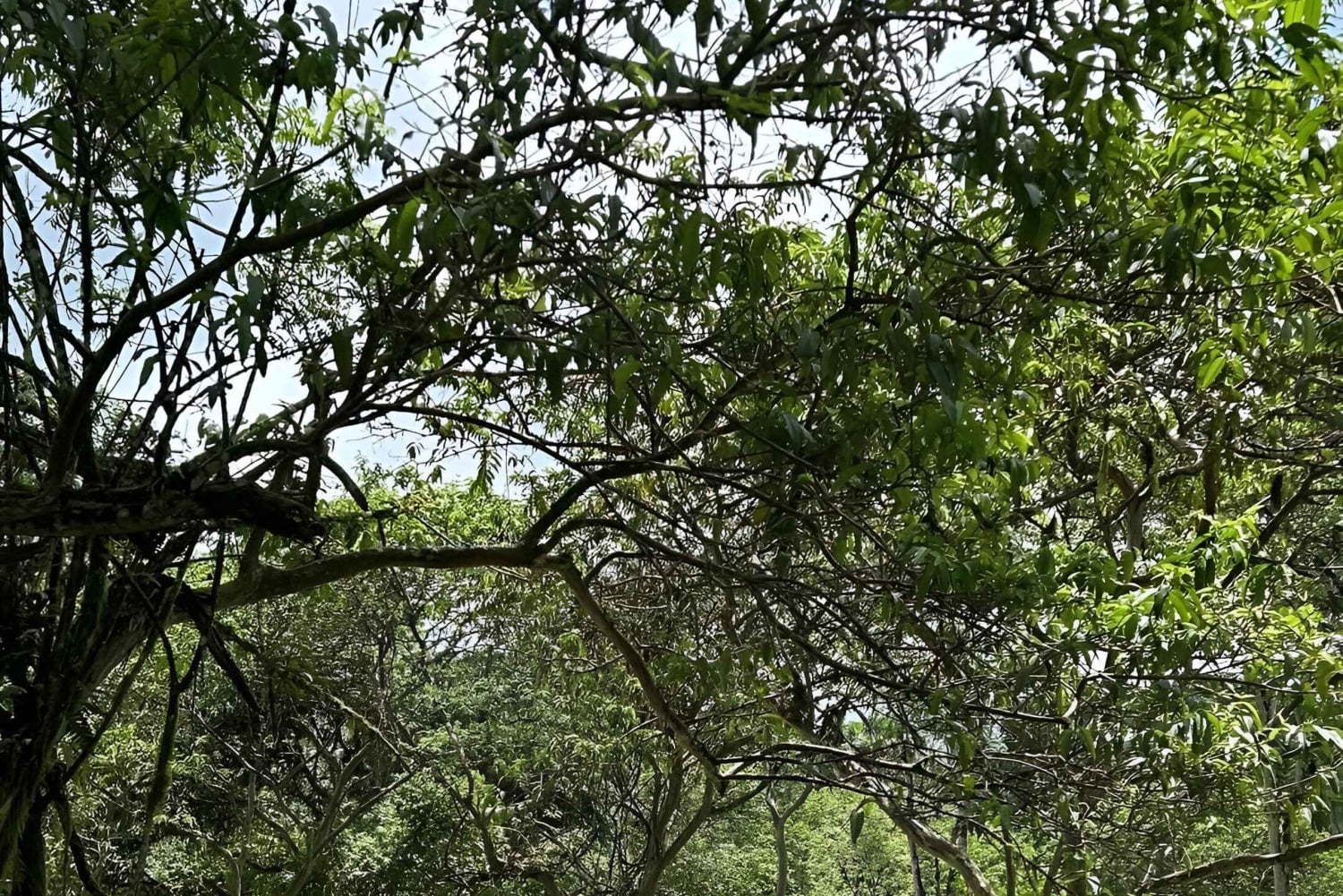 بويرتو أيورا جولة نهارية في مرتفعات سانتا كروز والغطس في يوم واحد