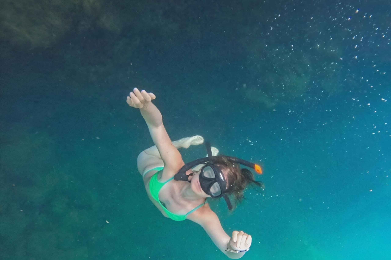 بويرتو أيورا جولة نهارية في مرتفعات سانتا كروز والغطس في يوم واحد