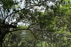 Puerto Ayora: Dagstur til Santa Cruz' højland og snorkling