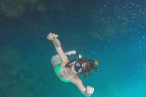 Puerto Ayora: Dagstur til Santa Cruz' højland og snorkling