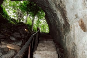 Puerto Ayora: Dagstur til Santa Cruz' højland og snorkling