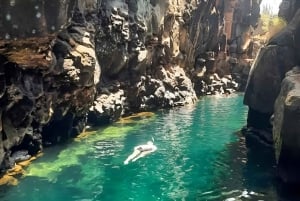 Puerto Ayora: Dagstur til Santa Cruz' højland og snorkling