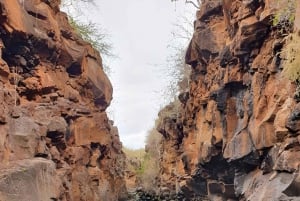 Puerto Ayora: Dagstur til Santa Cruz' højland og snorkling
