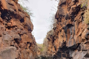 بويرتو أيورا جولة نهارية في مرتفعات سانتا كروز والغطس في يوم واحد