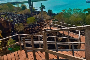 بويرتو أيورا جولة نهارية في مرتفعات سانتا كروز والغطس في يوم واحد