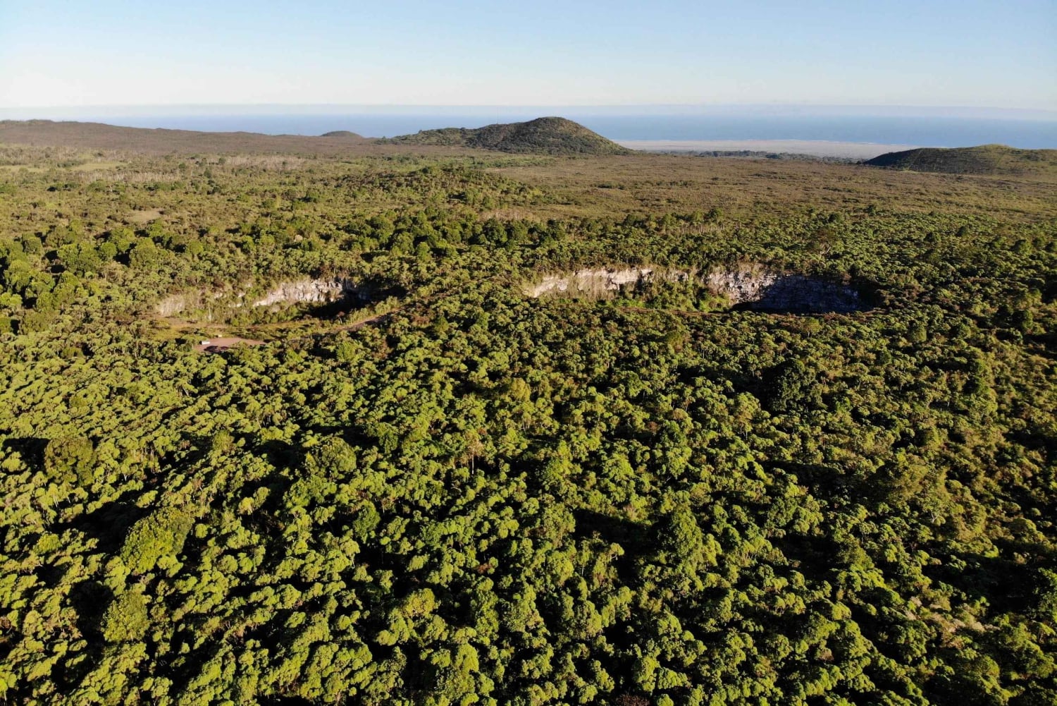 بويرتو أيورا: تجربة سلحفاة غالاباغوس العملاقة المشتركة