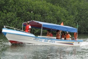 Puerto El Morro Dolphin Watching Activity from Guayaquil