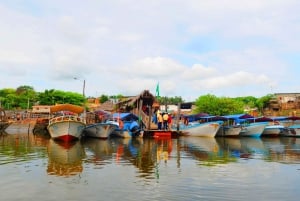 Puerto El Morro Dolphin Watching Activity from Guayaquil