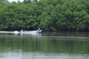Puerto El Morro Dolphin Watching Activity from Guayaquil