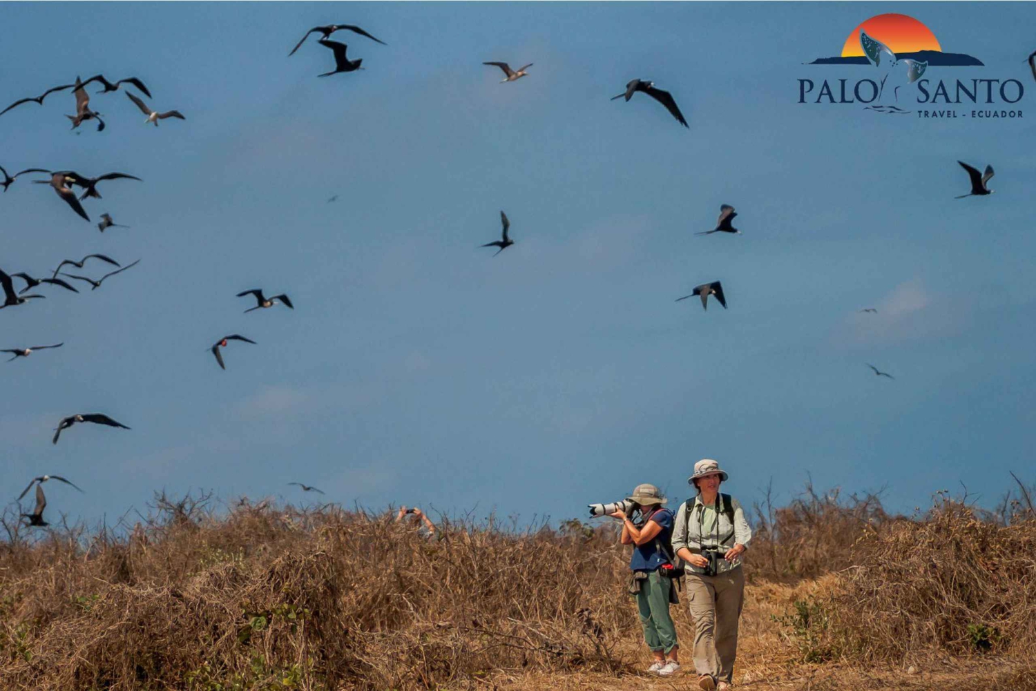 Puerto Lopez: Isla de la Plata: The Magic of the Mini Galapagos Waiting for You