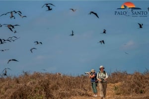 Puerto López: Isla de la Plata: La magia delle Mini Galapagos ti aspetta