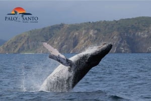 Puerto López: Isla de la Plata: La magia delle Mini Galapagos ti aspetta