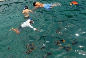 Puerto López: Isla de la Plata: La magia delle Mini Galapagos ti aspetta