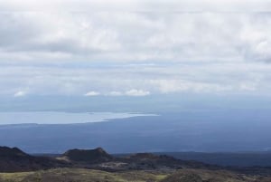 Puerto Villamil: Caminhada ao Vulcão Sierra Negra