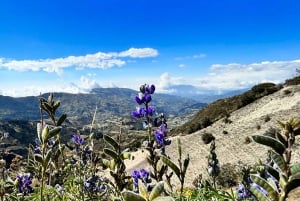 Quilotoa: 2 Tage lang an magischen Orten wandern