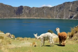 Quilotoa Lagoon Tour 2 Days 1 Night