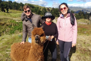 بحيرة Quilotoa: جولة في كيتو إلى بحيرة Quilotoa وToachi Canyon