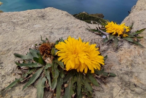 بحيرة Quilotoa: جولة في كيتو إلى بحيرة Quilotoa وToachi Canyon