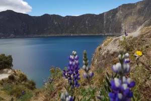 جولة كويلوتوا: 1 يوم في منظر طبيعي رائع من كيتو.