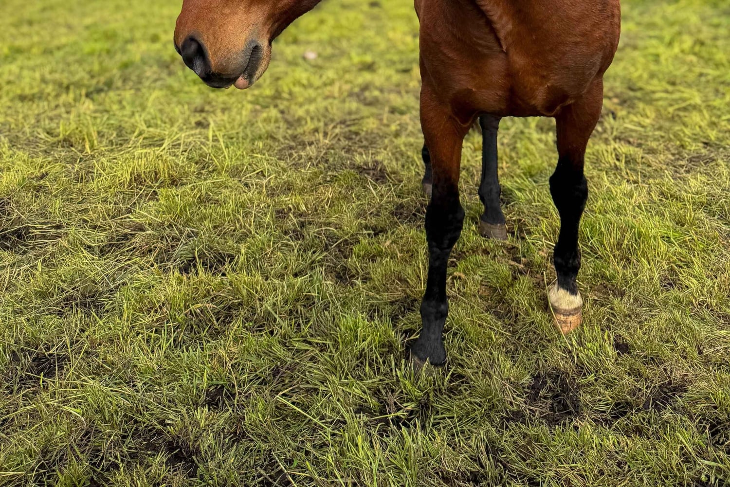 Quito: 2-Day All-Inclusive Cotopaxi Adventure