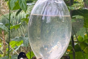 キト：2日間のクラウドフォレスト体験をお楽しみください