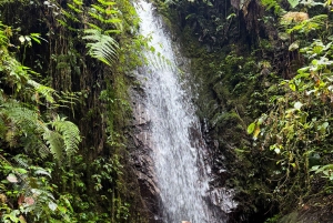 キト：2日間のクラウドフォレスト体験をお楽しみください